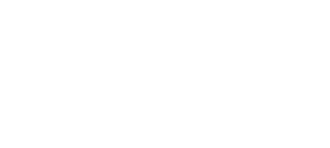 Sonicite